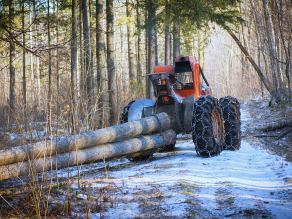 Tractor pulling logs in a wooded area